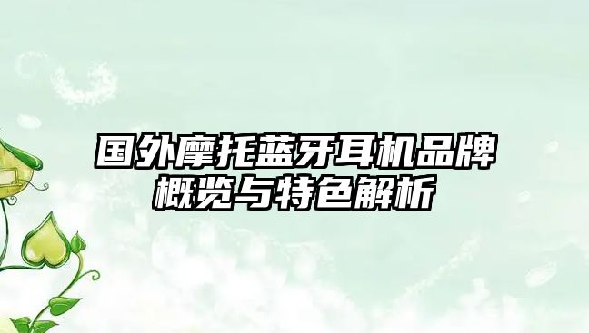 國外摩托藍牙耳機品牌概覽與特色解析
