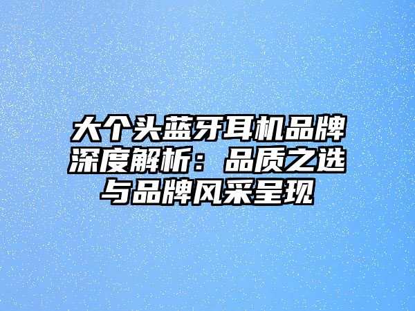 大個頭藍牙耳機品牌深度解析：品質之選與品牌風采呈現