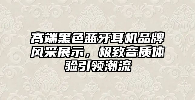 高端黑色藍牙耳機品牌風采展示，極致音質體驗引領潮流