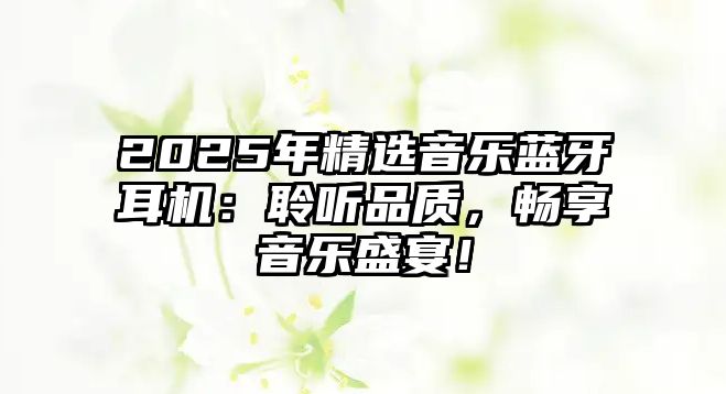 2025年精選音樂藍(lán)牙耳機(jī)：聆聽品質(zhì)，暢享音樂盛宴！